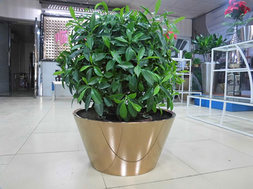 廣東汕頭不銹鋼花盆哪家做的好？
